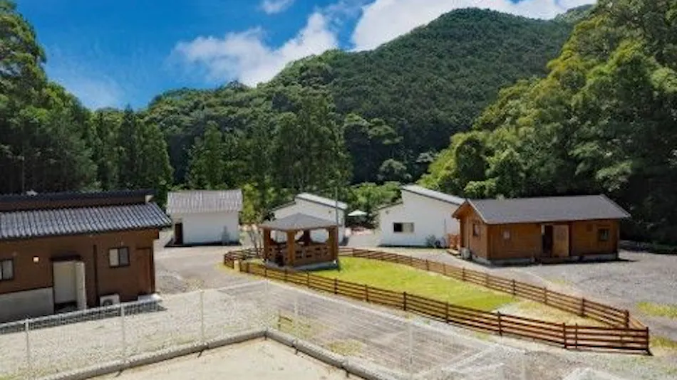 DOG PALACE Camp Village