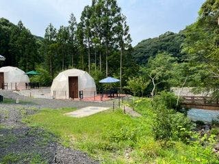 DOG PALACE Camp Village