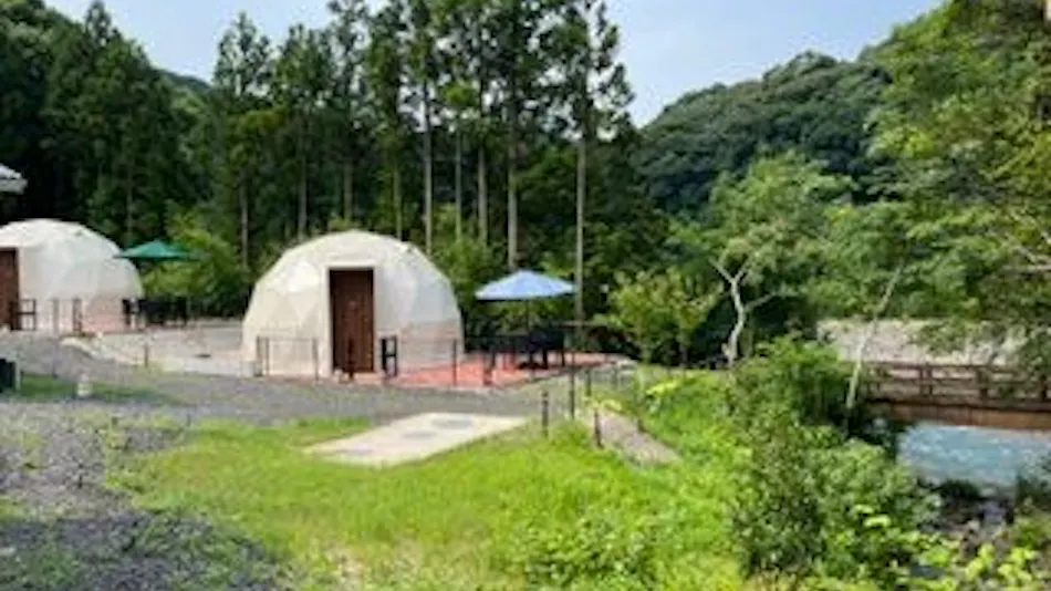 DOG PALACE Camp Village