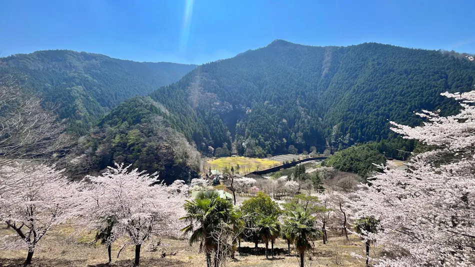 Hanazono BASE Green Park
