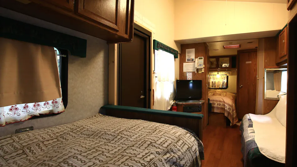 Forest Hideaway Inn Sheep
