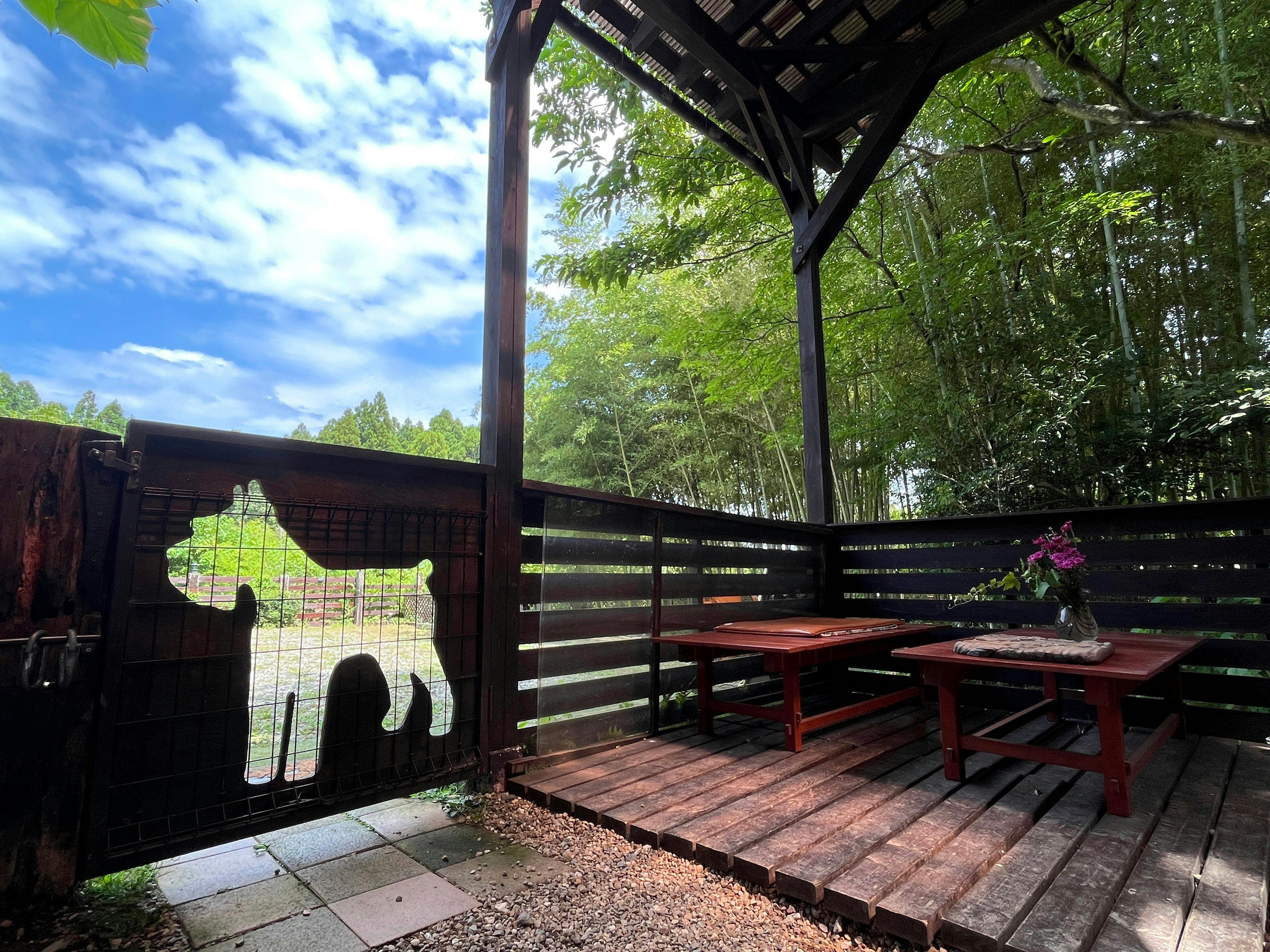 Forest Hideaway Inn Sheep