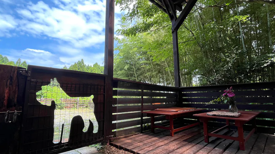 Forest Hideaway Inn Sheep