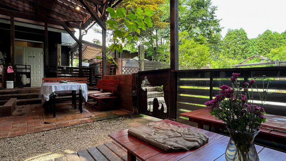 Forest Hideaway Inn Sheep