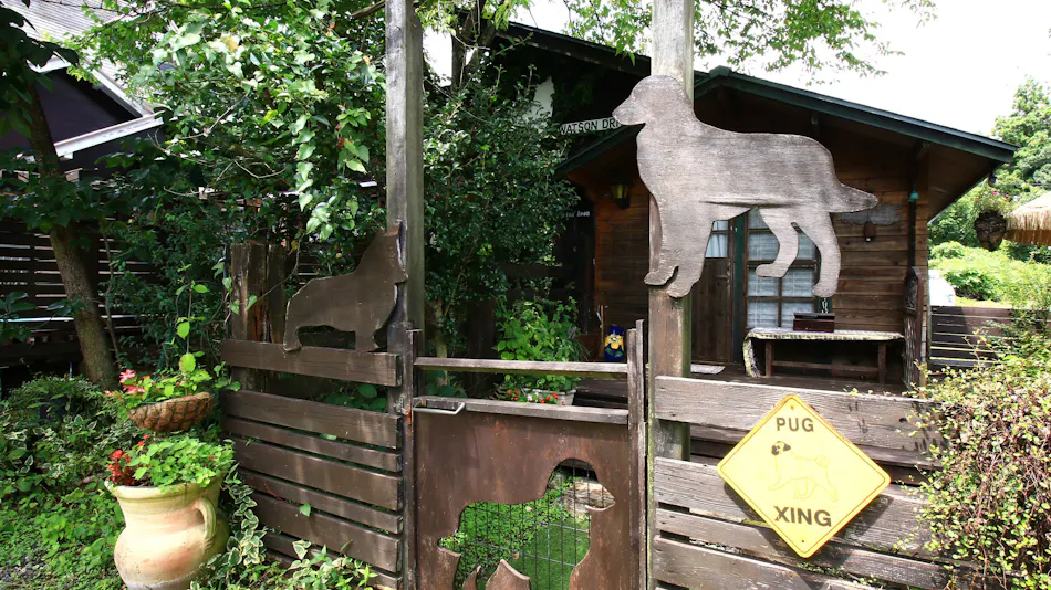 Forest Hideaway Inn Sheep