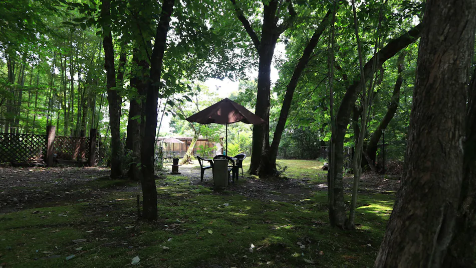 Forest Hideaway Inn Sheep