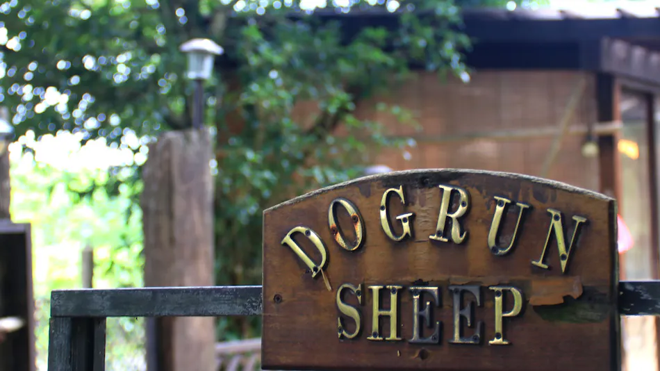 Forest Hideaway Inn Sheep