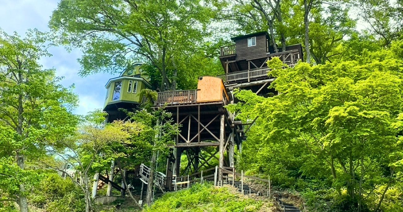 Iiyama FOREST BASE 292 Treehouse Komori