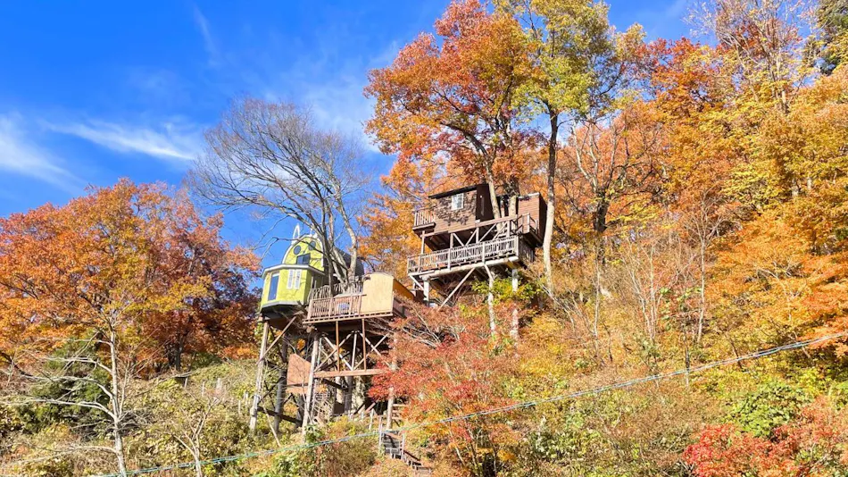 Iiyama FOREST BASE 292 Treehouse Komori