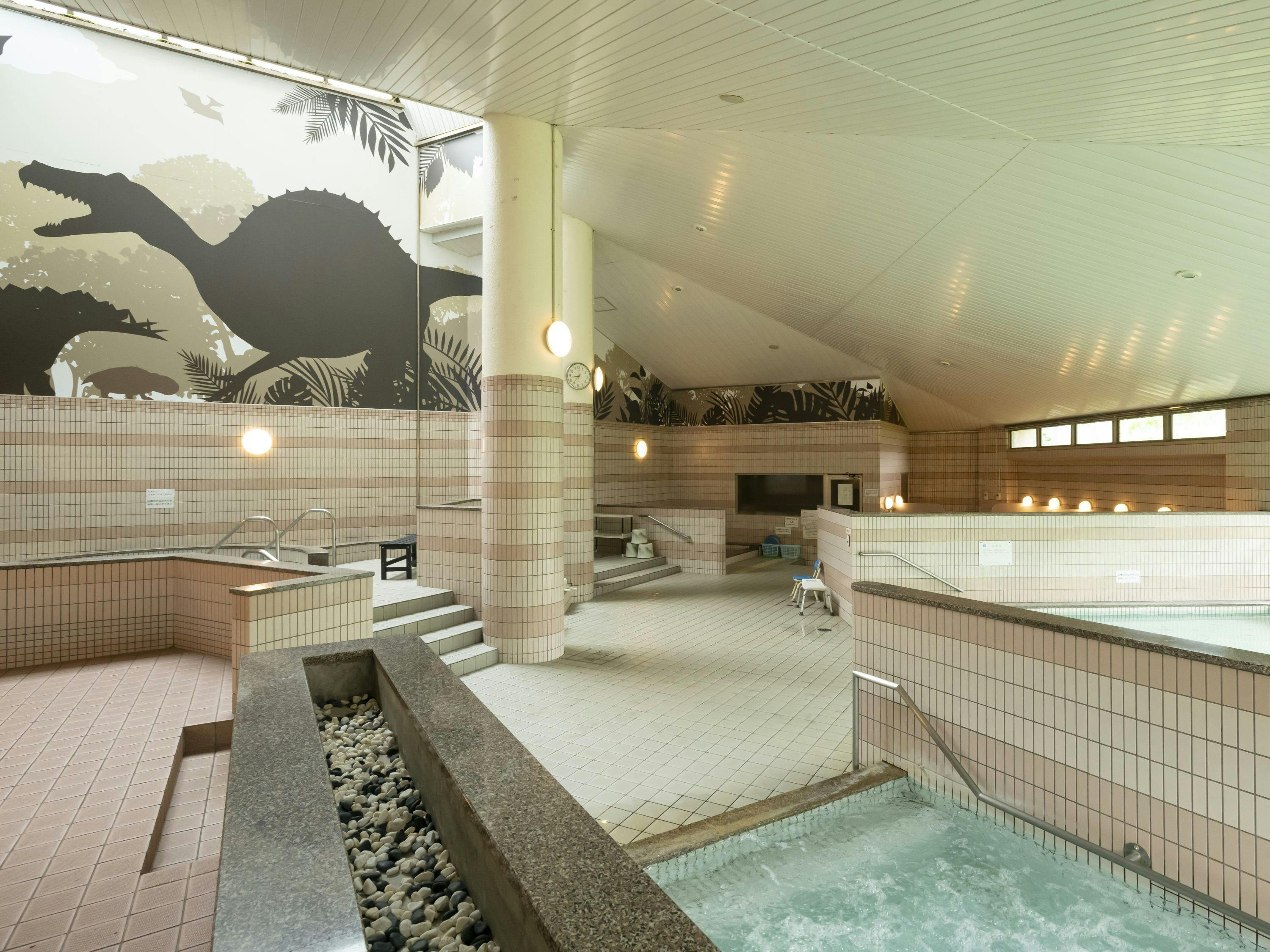 Natural Hot Spring  Dinosaur Inn & SPA