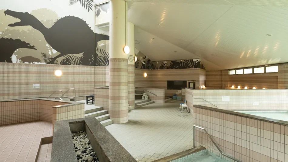 Natural Hot Spring Dinosaur Inn & SPA