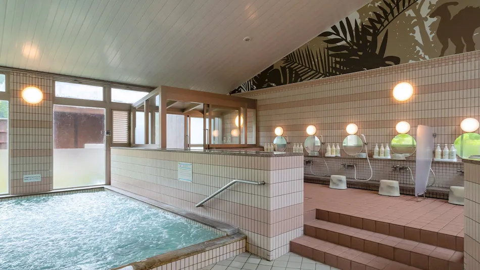 Natural Hot Spring Dinosaur Inn & SPA