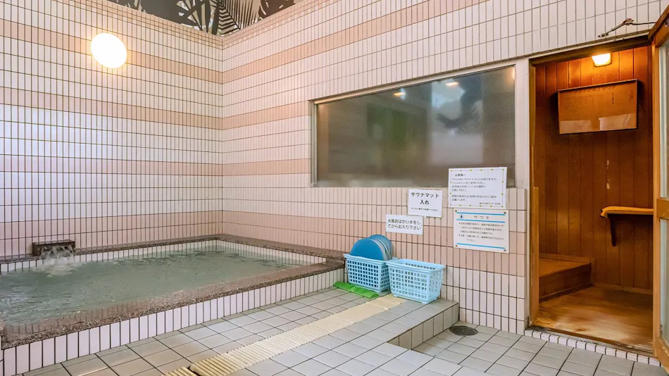 Natural Hot Spring Dinosaur Inn & SPA
