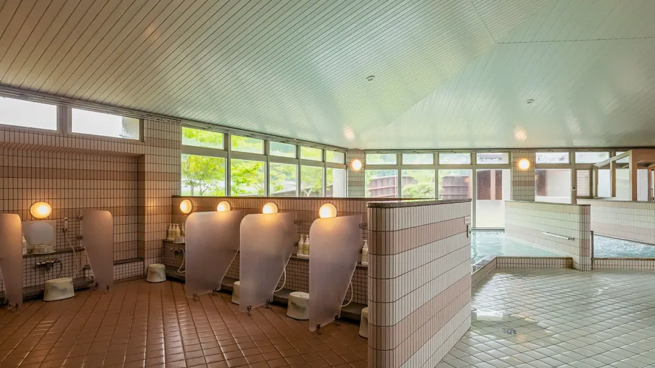 Natural Hot Spring Dinosaur Inn & SPA