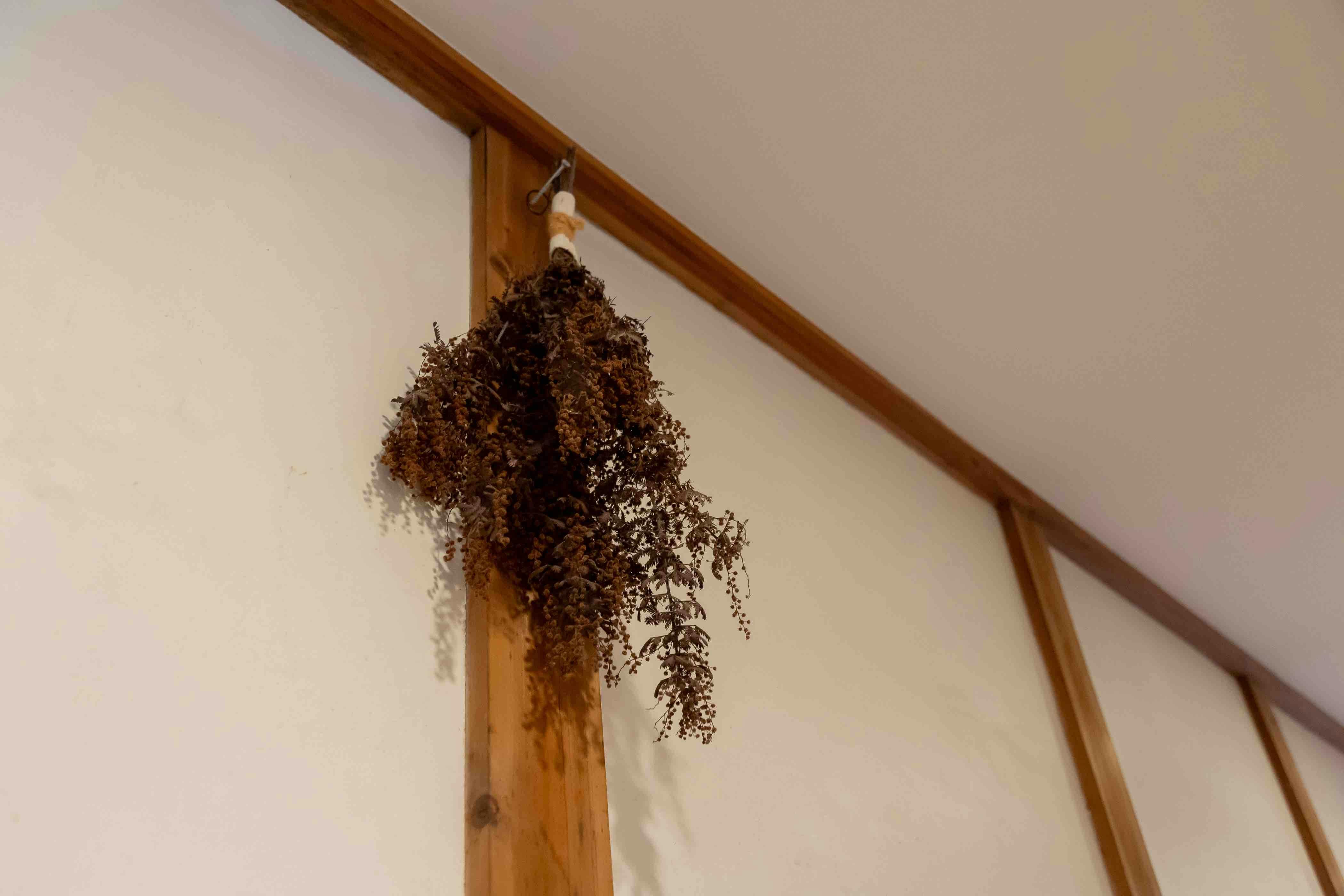 Minna no Furusato Blue Legend