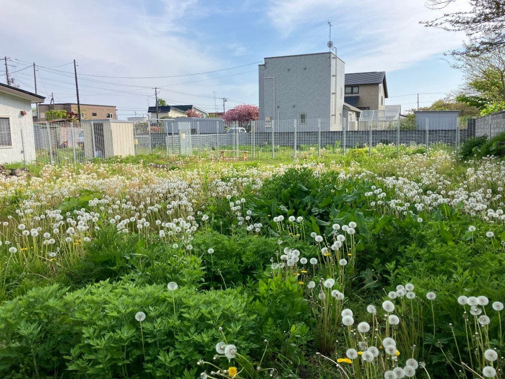 Guesthouse Tarako-yu