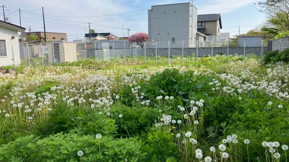 Guesthouse Tarako-yu