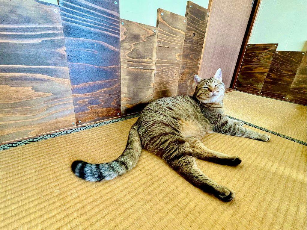 Guesthouse Tarako-yu
