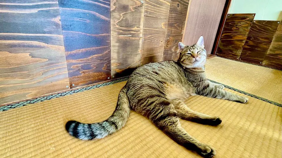 Guesthouse Tarako-yu