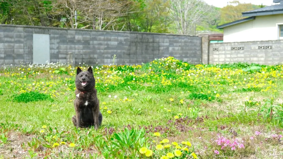 Guesthouse Tarako-yu