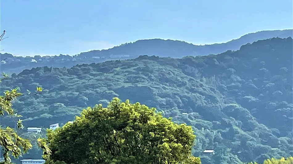 Glycine Atami