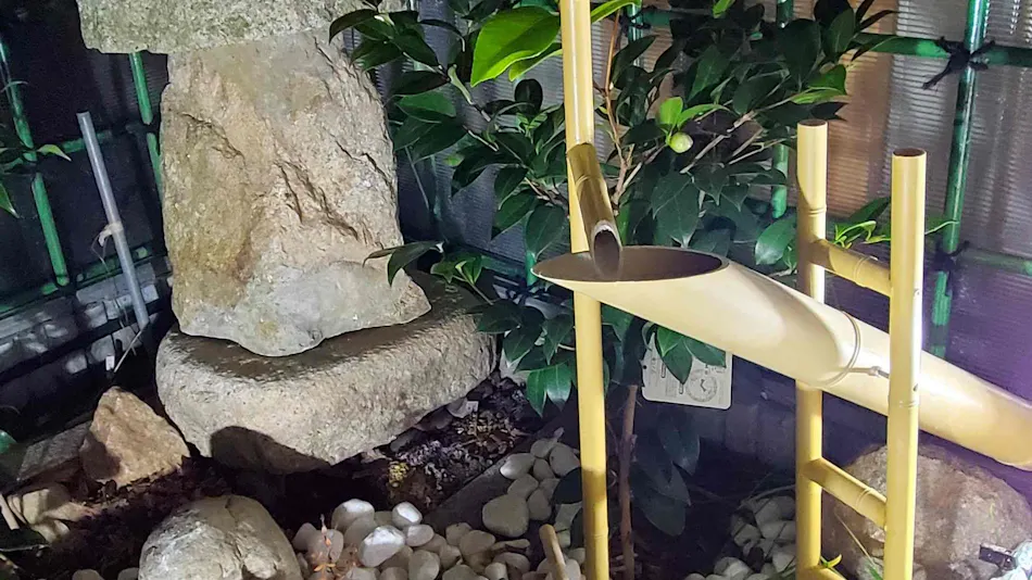 Camellia Accommodation