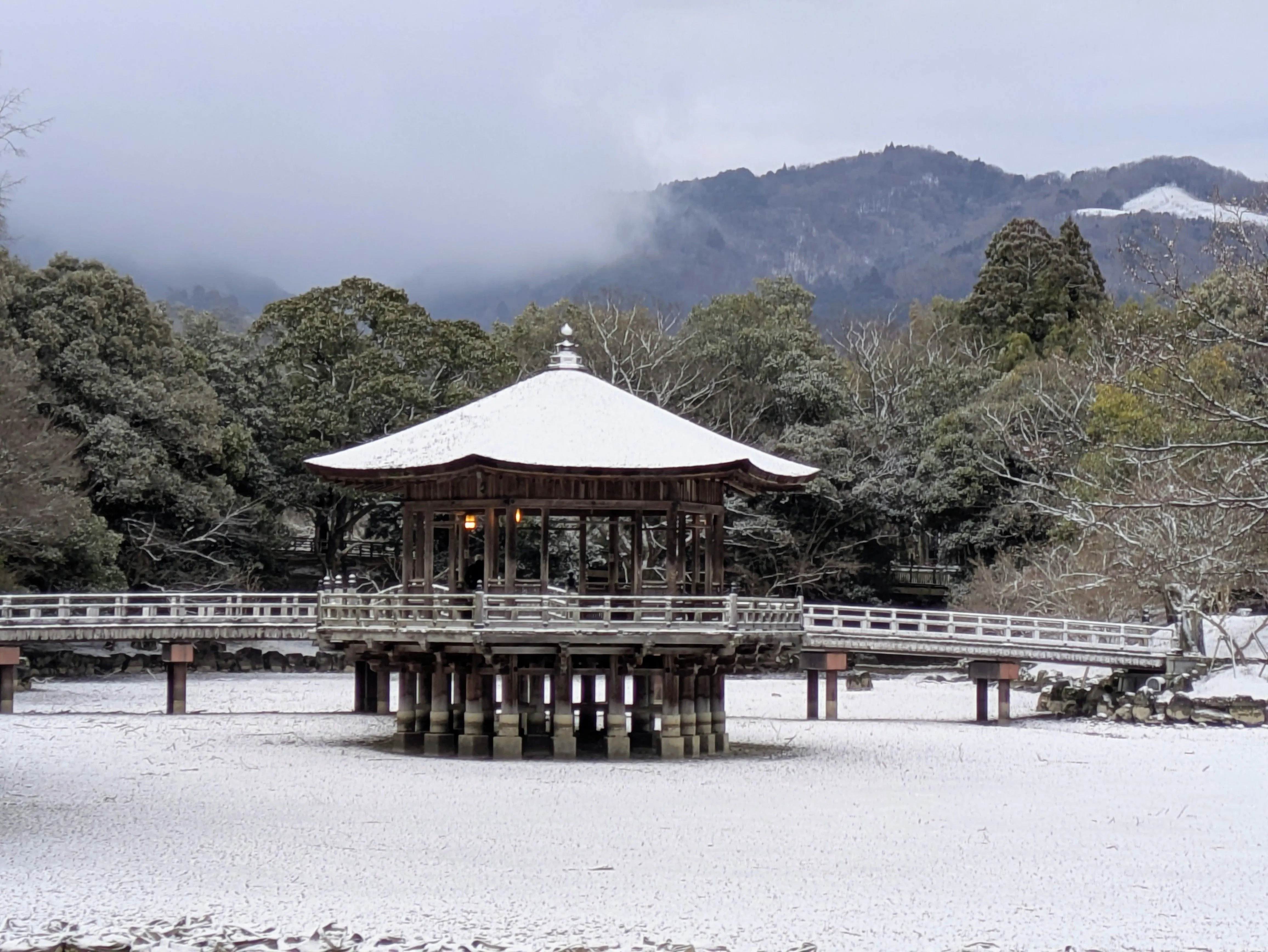 奈良公园内的浮见堂
