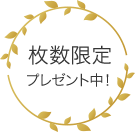 枚数限定プレゼント