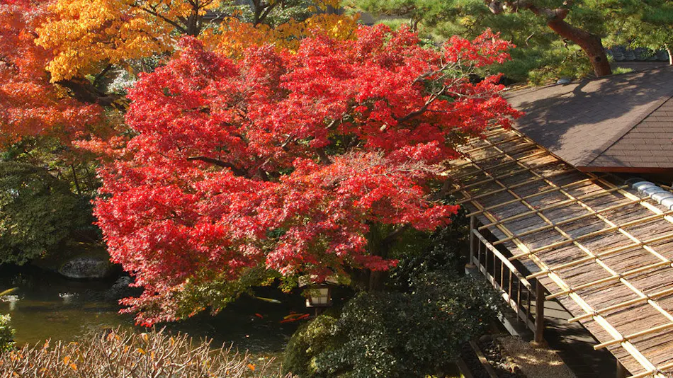 Atami Taikanso, a Ryokan Associated with Yokoyama Taikan