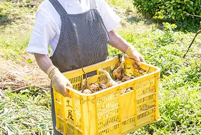 シェフ 三輪良平