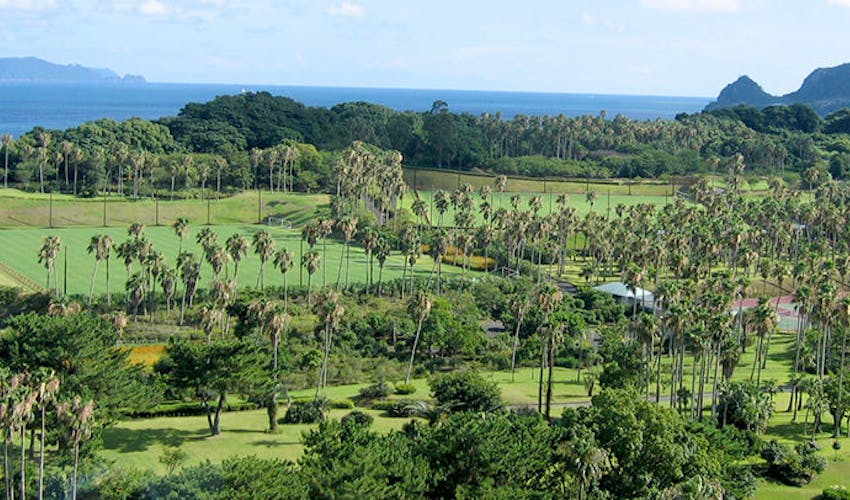 指宿いわさきホテル の宿泊プラン 宿泊予約は 一休 Com