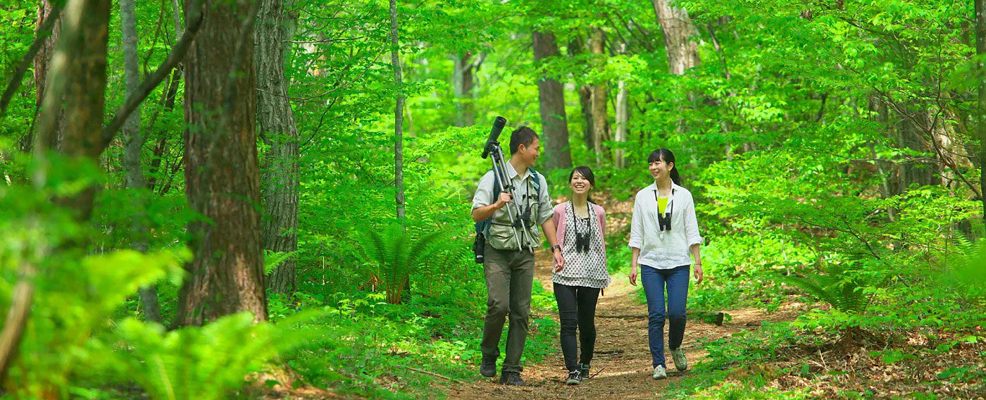 Menjelajahi hutan burung dengan pemandu untuk pengamatan alam.