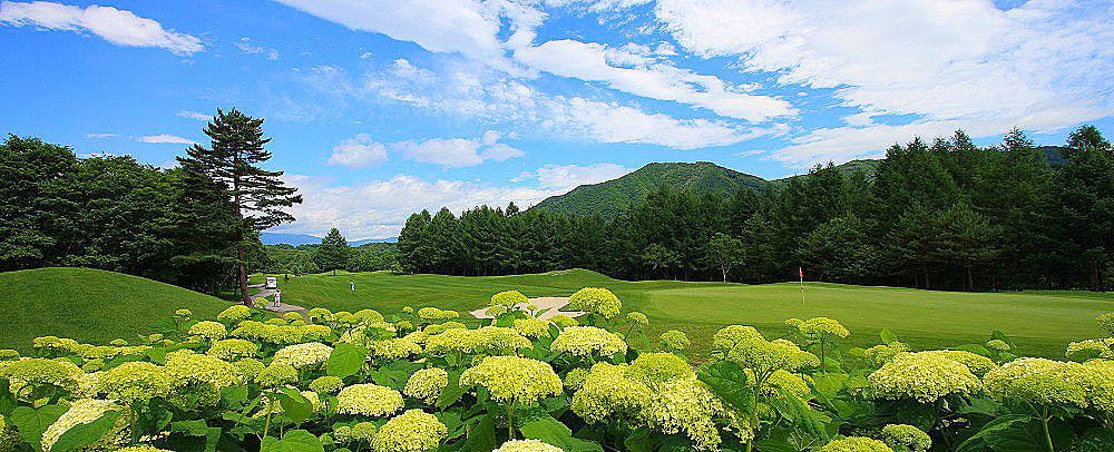 Di sekitar terdapat banyak lapangan golf, di mana Anda dapat bermain dalam cuaca yang sejuk.