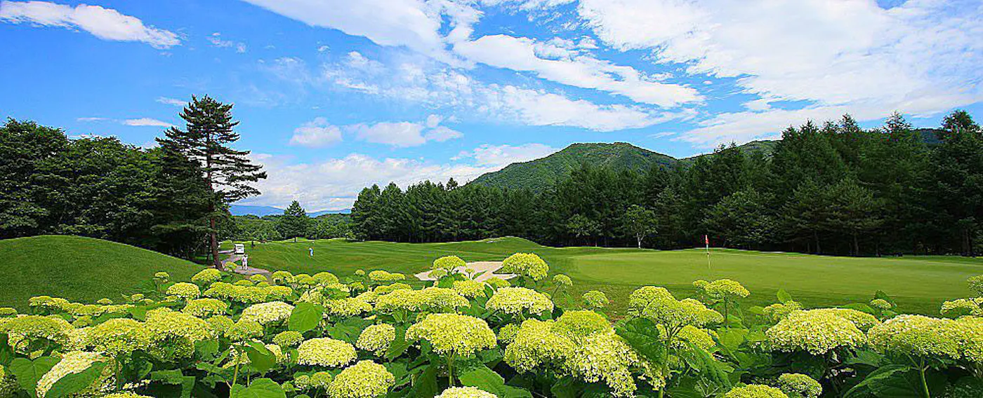 Di sekitar terdapat banyak lapangan golf, di mana Anda dapat bermain dalam cuaca yang sejuk.