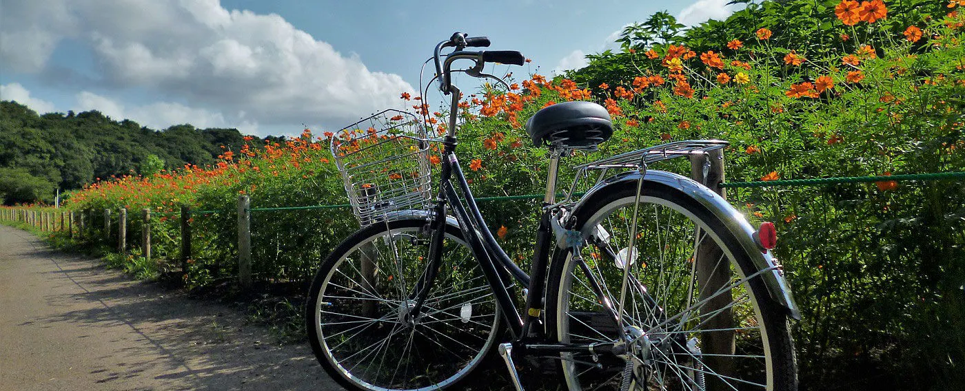 Menjelajahi alam di Karuizawa Utara dengan sepeda sewaan (tersedia hanya pada musim semi, musim panas, dan musim gugur)