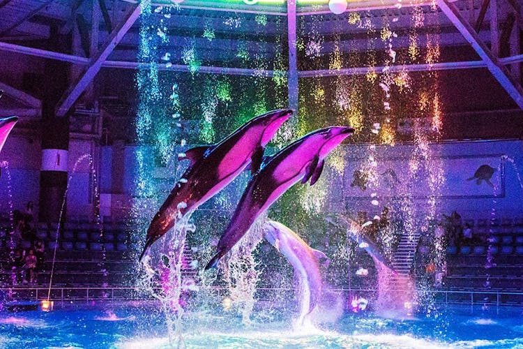 品川プリンスホテル の空室状況を確認する 宿泊予約は 一休 Com 品川プリンスホテル の空室状況を確認する 宿泊予約は 一休 Com