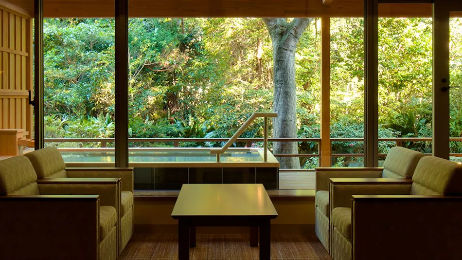 Shimoda Rendaiji Onsen Seiryuso