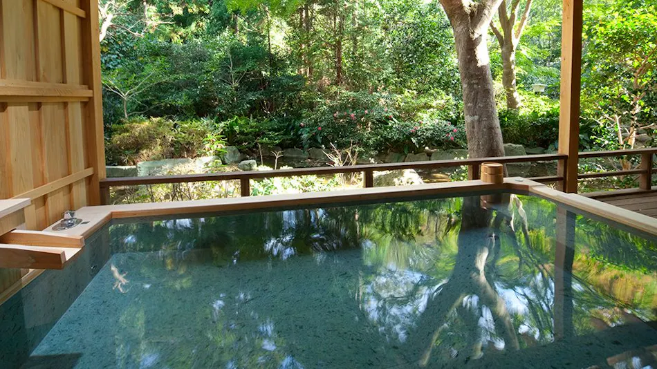 Shimoda Rendaiji Onsen Seiryuso