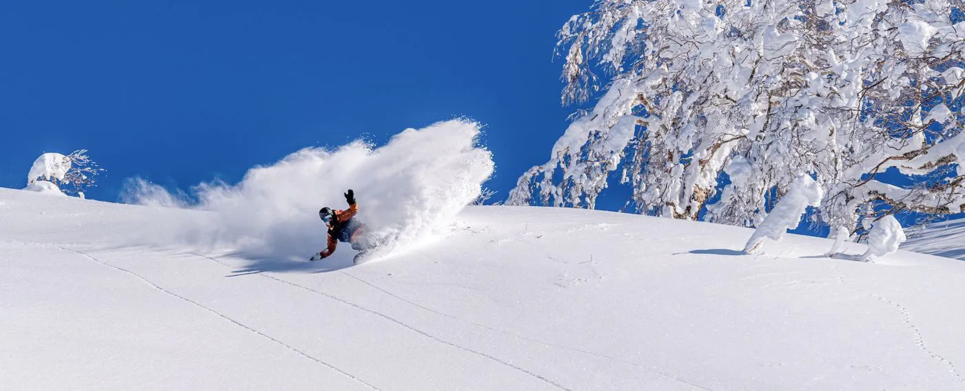 สกีและสโนว์บอร์ด