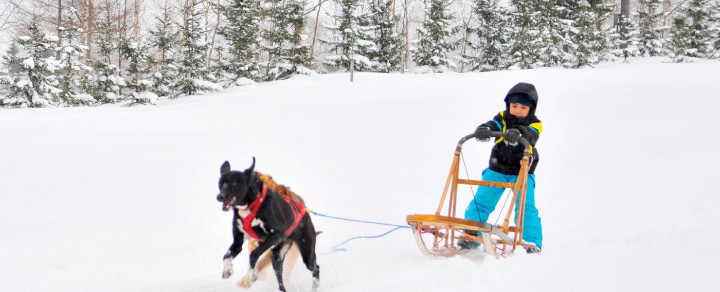 กิจกรรม