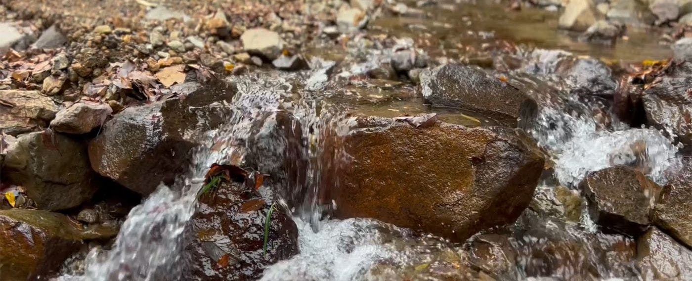 天城山麓の天然水を全身で楽しむ