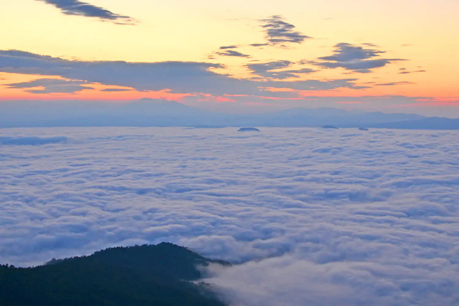 ทัศนียภาพ