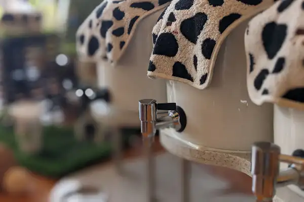 ร้านอาหาร