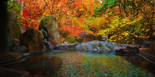 22年最新 蓼の花オートキャンプ周辺で温泉自慢の宿ランキング 一休 Com 22年最新 蓼の花オートキャンプ周辺で温泉自慢の宿ランキング 一休 Com