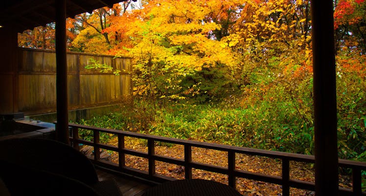 富士見パノラマリゾートのバストイレ別のお部屋 大浴場ありの 高級ホテル 旅館 宿泊予約は 一休 Com 富士見パノラマリゾートのバストイレ別のお部屋 大浴場ありの 高級ホテル 旅館 宿泊予約は 一休 Com