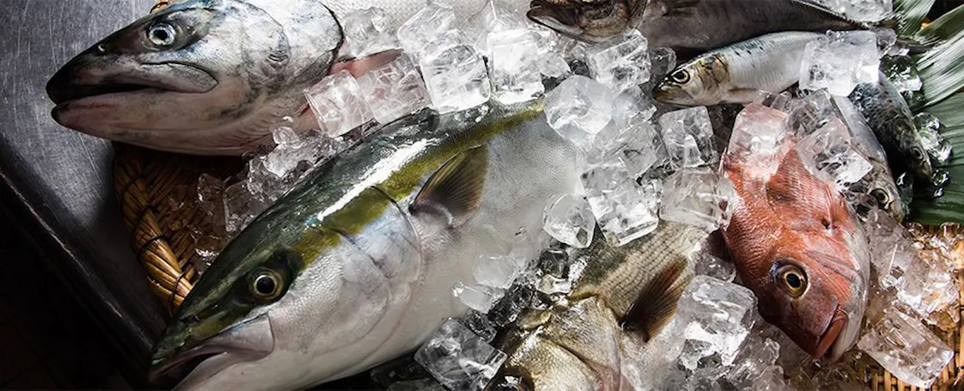 วัตถุดิบ