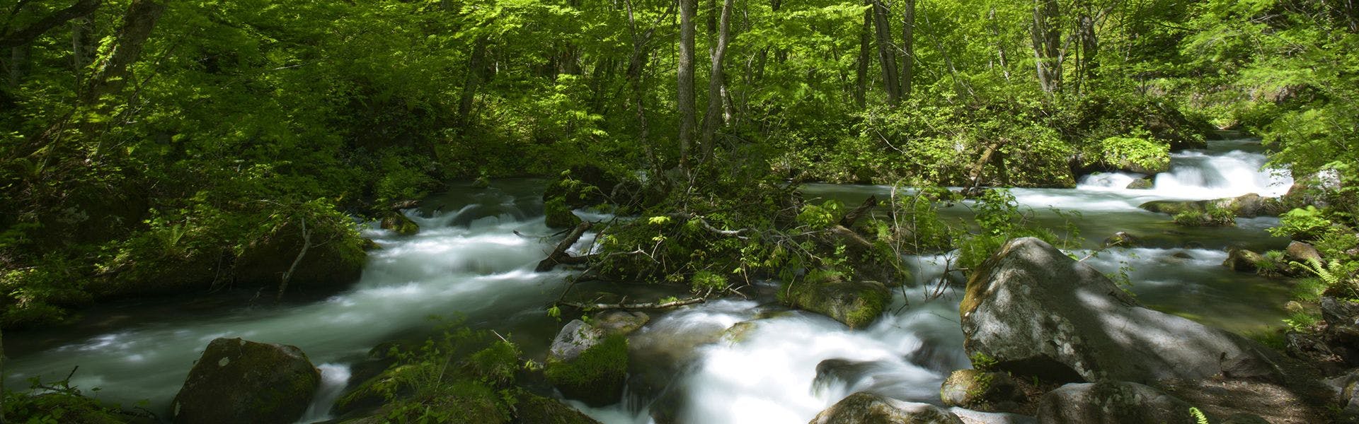 奥入瀬渓流