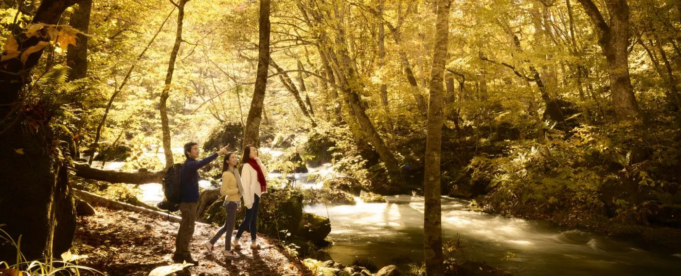 단풍 산책