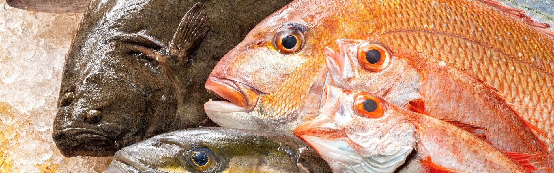 ตัวอย่างห้องพัก