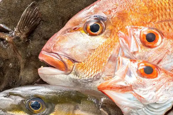 ตัวอย่างห้องพัก